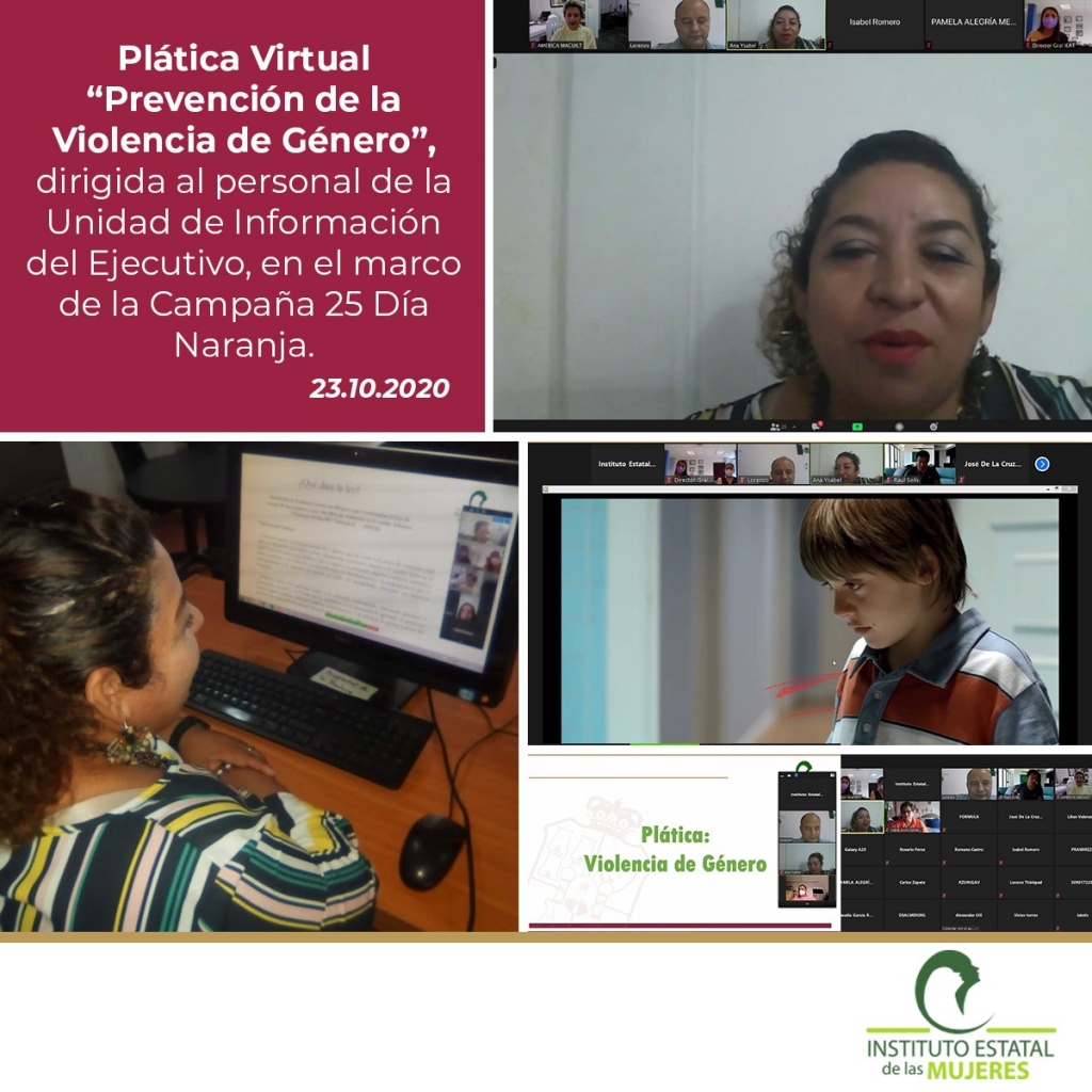Plática Virtual Prevención de la Violencia de Género, Unidad de Información del Ejecutivo.jpg