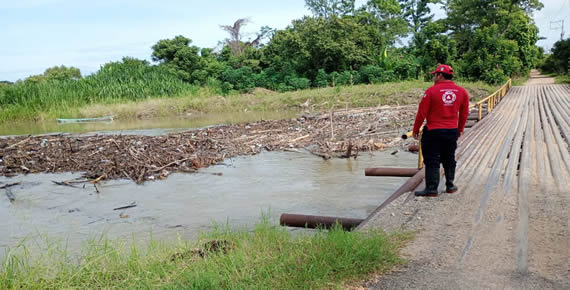 boletin 4 15-10-24.jpg