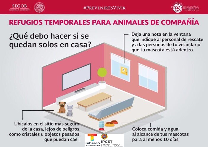 infografia 20 refugio temporales para animales.jpg