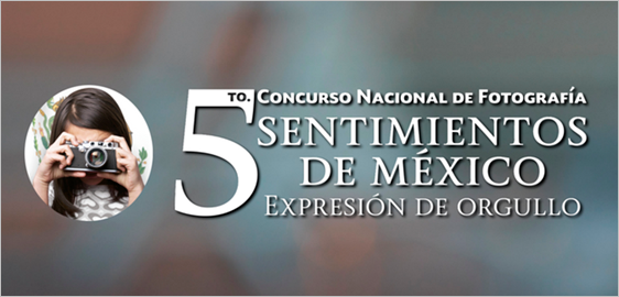 banner%205%20concurso%20de%20fotografia.png