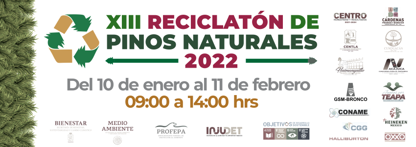 Banner Convocatoria Reciclatón Pinos Naturales 2022