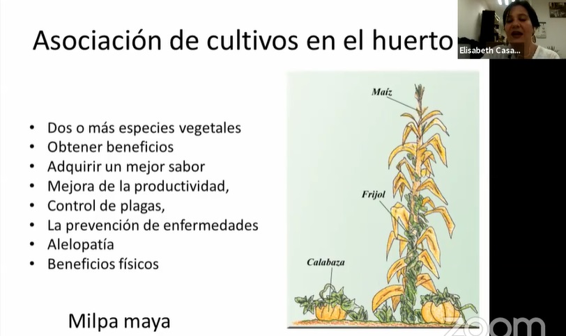 Captura de pantalla (50).jpg