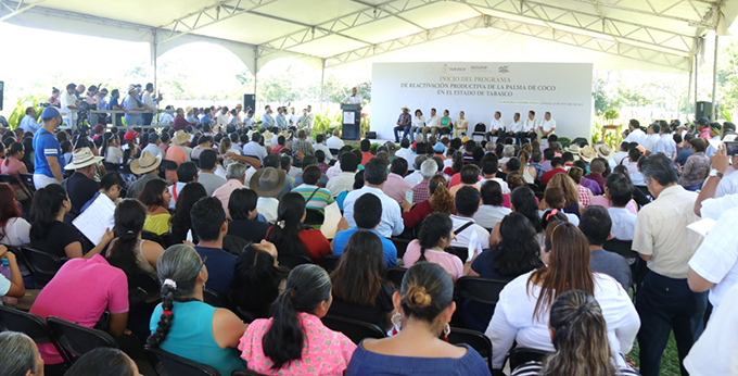 FOTO AALH-PALMA DE COCO (11).jpeg