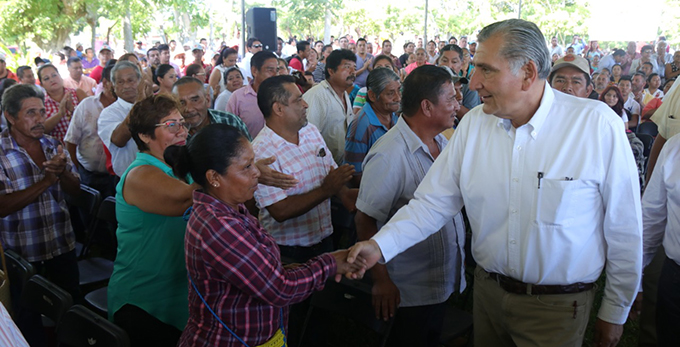 FOTO AALH-PALMA DE COCO (5).jpeg