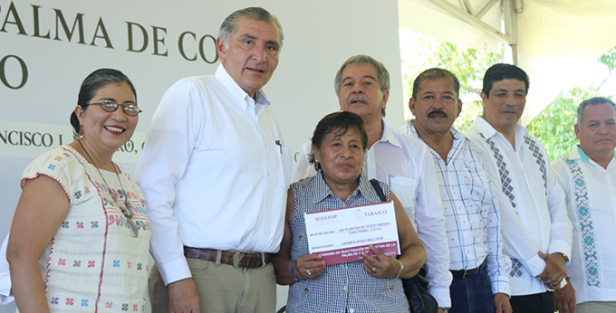 FOTO AALH-PALMA DE COCO (7).jpeg