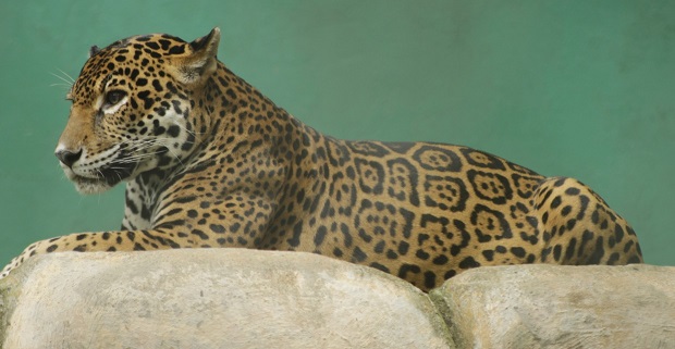 FOTO CULTURA (3)_1.jpeg