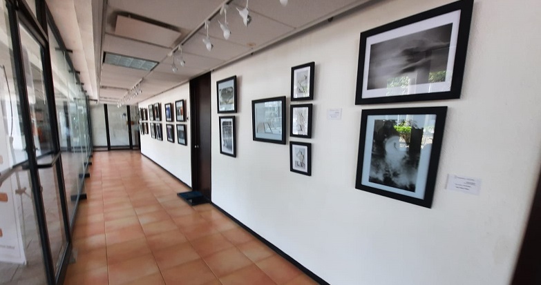 FOTO CULTURA (3)_2.jpeg