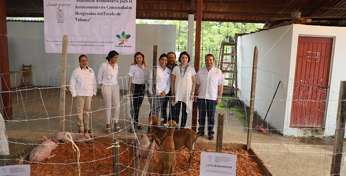 FOTO DIF  (1)_3.jpeg