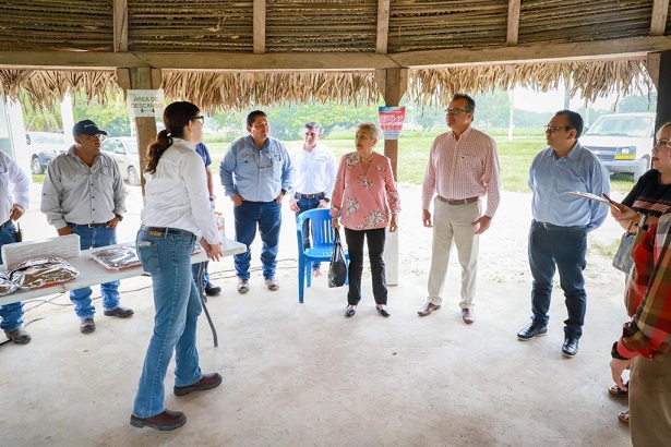 FOTO IEAT  (3)_5.jpeg