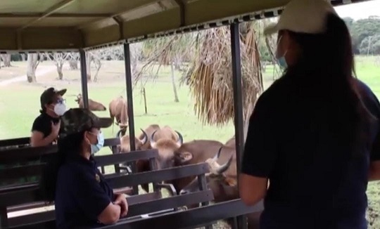 FOTO PAPAGAYO (4).jpg