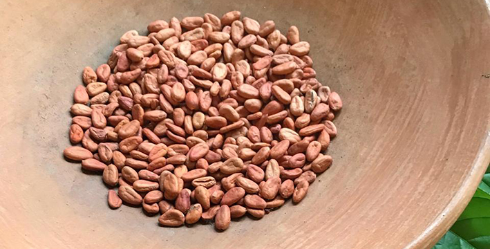 FOTO PRODUCTORES DE CACAO (5).jpeg