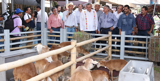 FOTO SEDAFOP  (2).jpg