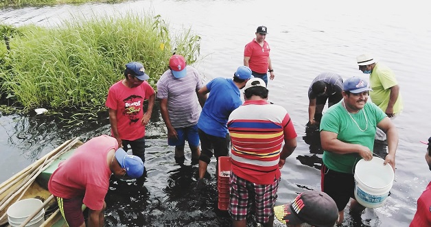 FOTO SEDAFOP (1).jpeg