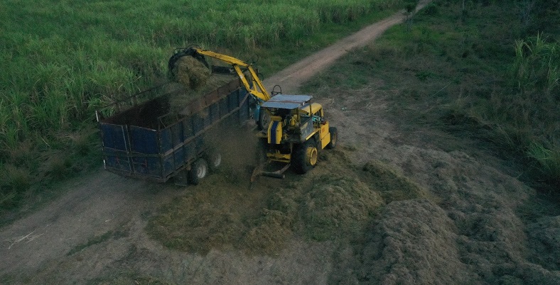 FOTO SEDAFOP (7).jpeg