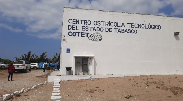 FOTO SEDAFOP OSTRÍCOLA (17).jpeg