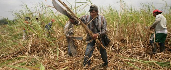 FOTO SEDAFOP-APOYO 2.jpg