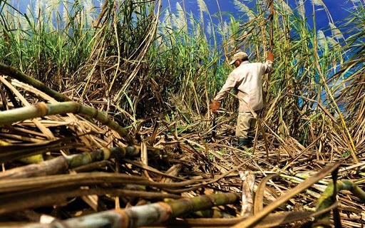 FOTO SEDAFOP-APOYO 5.jpg