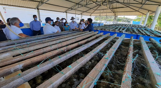 FOTO SEDEC PROYECTO OSTRÍCOLAS (8).jpeg
