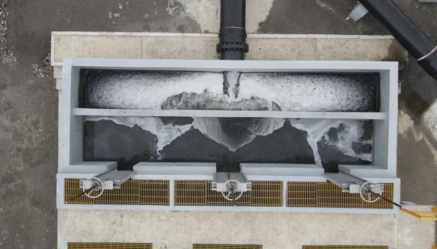 FOTOS BOLETÍN 1342 CEAS 07082022 (3).jpg