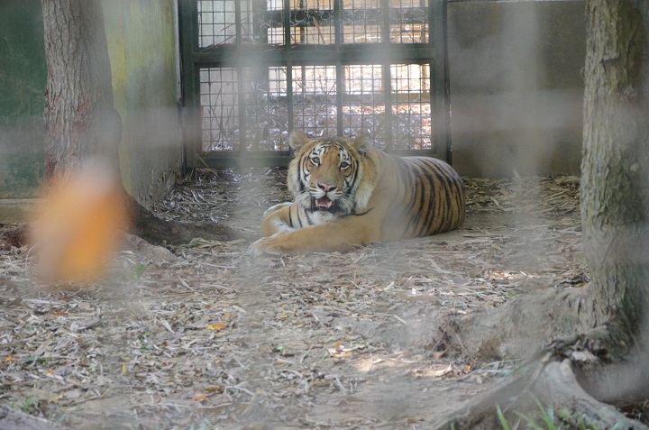 FOTOS YUMKÁ (3).jpeg