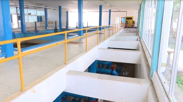 WhatsApp Image 2022-09-05 at 7.50.42 PM (1).jpg