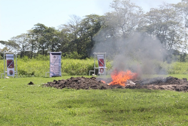 WhatsApp Image 2023-11-09 at 12.24.45 PM.jpeg