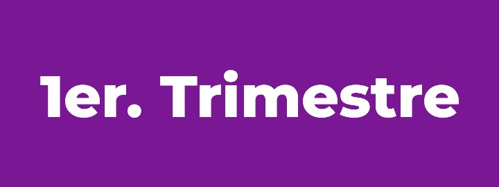Primer Trimestre