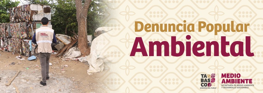 Descripción de la imagen