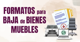 banner baja de bienes