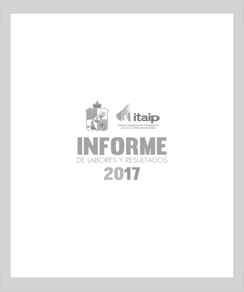 Informe 2017